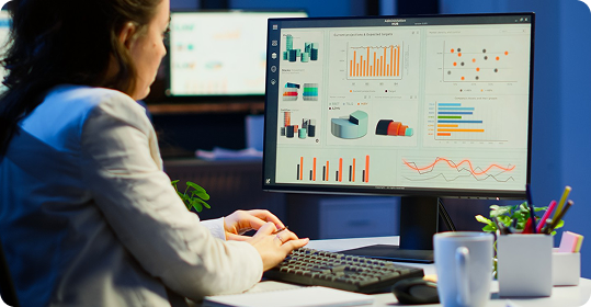 Business Intelligence